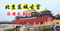 欧美男女交配视频‘中国北京-东城古宫旅游风景区